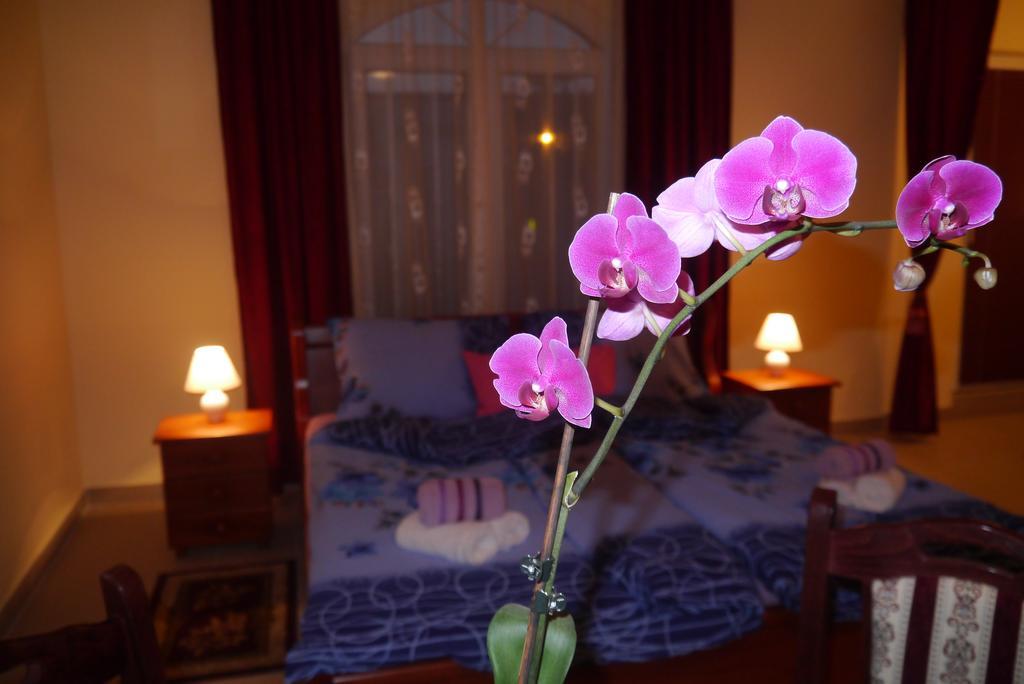 Guest House Villa Lord Novi Sad Esterno foto